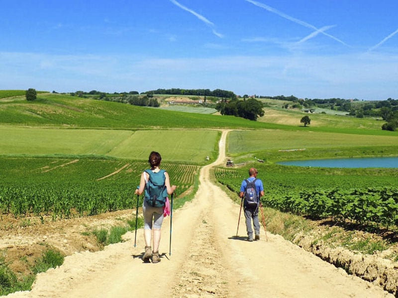 Camminare intorno al Lago Trasimeno