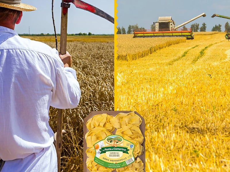 Pasta di Camerino, materie prime 100% italiane, filiera tracciata e trasparente